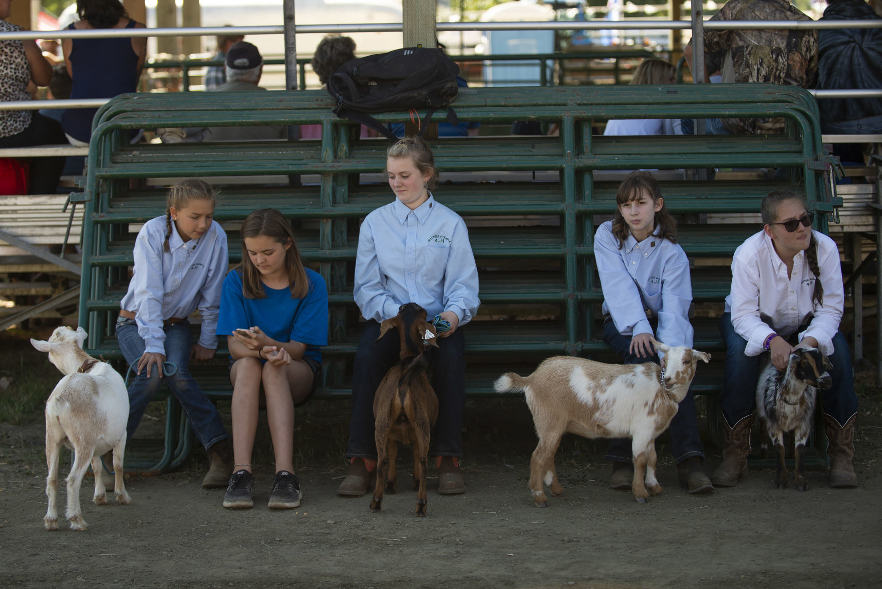 Coos County Fair